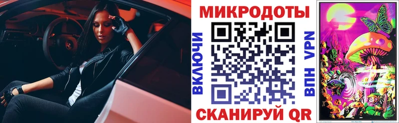 Псилоцибиновые грибы Psilocybe  кракен   Севастополь 