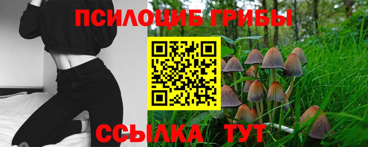 Галлюциногенные грибы Cubensis Севастополь